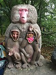 Beekse Bergen 2016