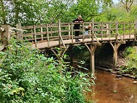Pooh bridge