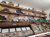 Dinasaurland museum