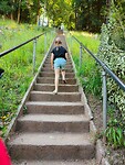 Jacobs ladder