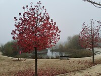 Center Parcs Parijs 2024