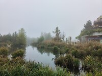 Center Parcs Parijs 2024