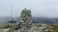 Høgenibba de top