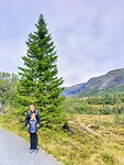 Op weg naar Høgenibba
