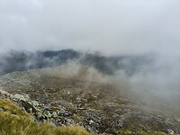 Høgenibba
