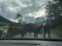 De weg naar Folgefonna