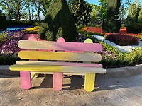IMG_2744