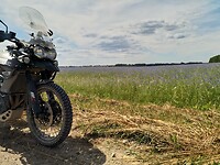 IMG_20200624_142001