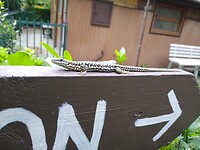 IMG_20210620_092538933