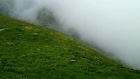 VID_20210620_111647342~2