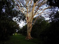 DSCN1105