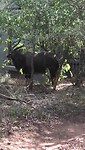 Nyala voor huis 2022-12-07 at 15.39.15