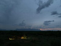 Kaya Ndlovu