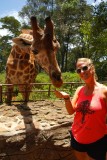 Giraffe uitlaten