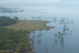 Lake Nakuru