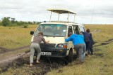 Oeps.... vastzittende auto in een wildpark!!!!