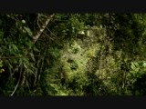 Laura zipline Banos
