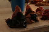 Markt Sucre
