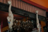 Lama's op de witches market