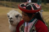 Innige conversatie tussen een lama en een vrouw
