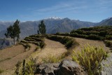 Colca Canyon