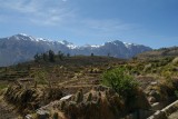 Colca Canyon