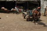De markt in Popayan