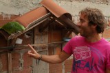 De waakvogel/praatjesmaker van het hostel