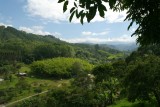 Uitzicht vanaf de Finca (koffieplantage)
