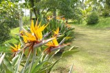 Op de Finca