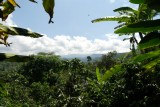 Uitzicht vanaf de Finca