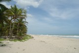 Palomino beach