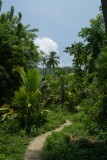 Wandelpad in NP Parque Tayrona