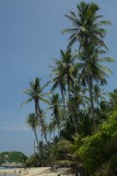 NP Parque Tayrona