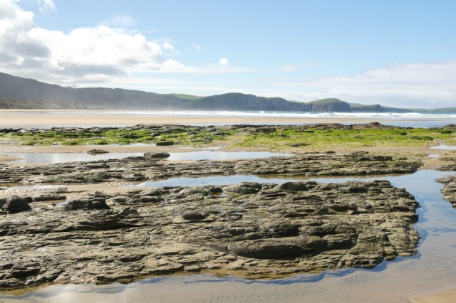 Waipapa strand