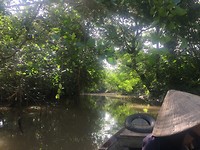 Mekong Delta