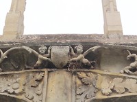 Detail met vogelnestje