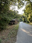 Bos hout voor de deur