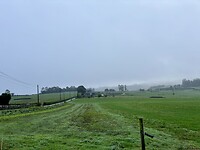 Miezer en mist…