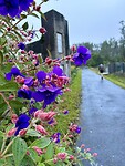 Altijd oog voor bloemen