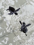IMG_5411