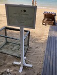 IMG_5409