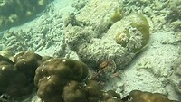 GX010039_1722588009399
