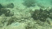 GX010040_1722587874881