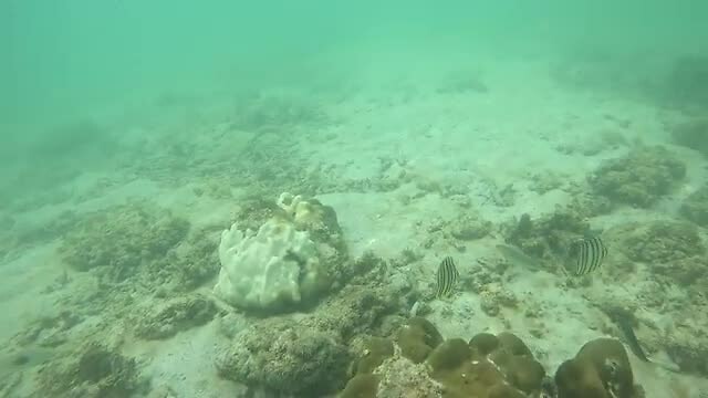GX010042_1722587728819