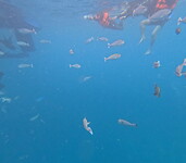 GOPR0082_1723109017388