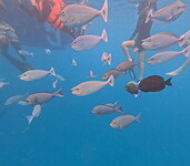 GOPR0083_1723109017388