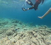 GOPR0094_1723109017388