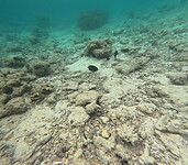 GOPR0096_1723109017388