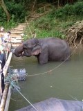 Floatel river kwai